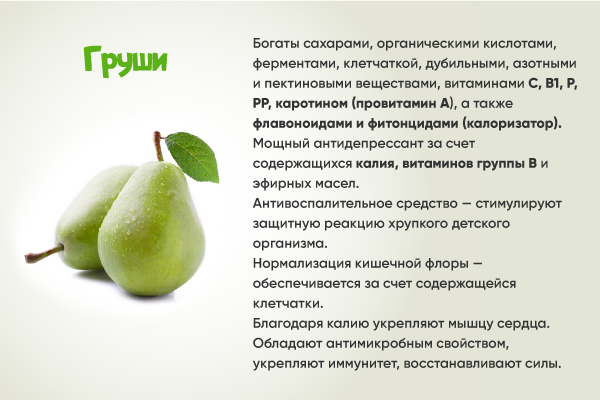 Груша: польза и вред. витамины в груше :: syl.ru