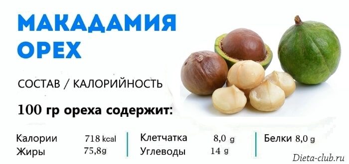 Польза макадамии: 105 фото свойств и качеств самых дорогих орехов в мире