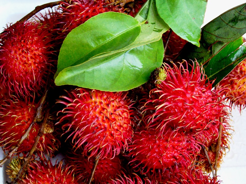 Рамбутан фрукт, как его едят, полезные свойства и противопоказания