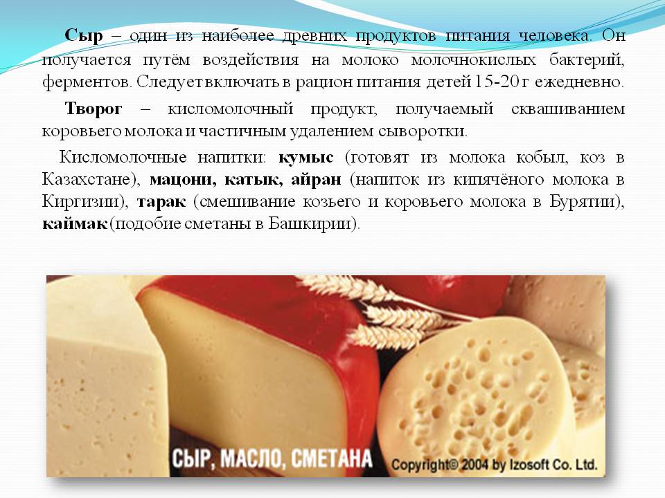 Овечий сыр: польза и вред, состав, калорийность на 100 грамм
