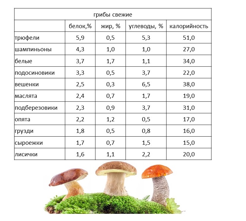 Опята: калорийность (свежих, отварных и маринованных), польза и вред грибов, свойства