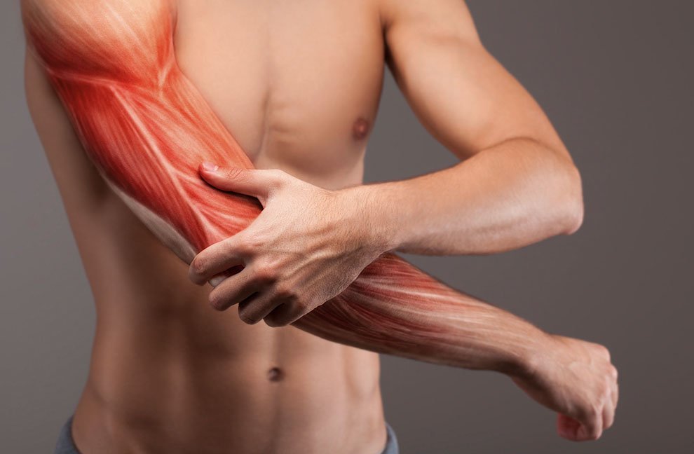 Что такое миозит мышц спины? симптомы, причины и методы лечения