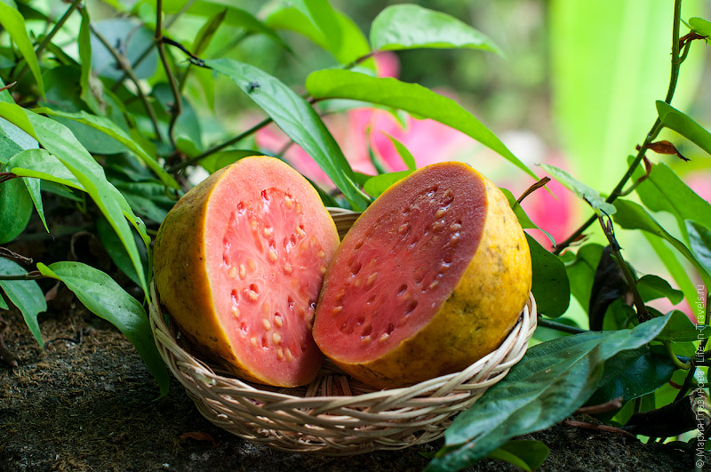 15 тропических фруктов, которые надо обязательно попробовать