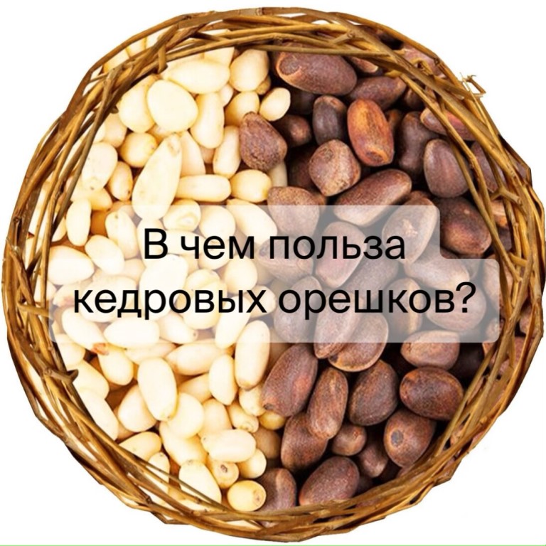«сибирские семена долголетия» или кедровые орехи: полезны или вредны? калорийность, свойства, польза и вред кедровых орехов