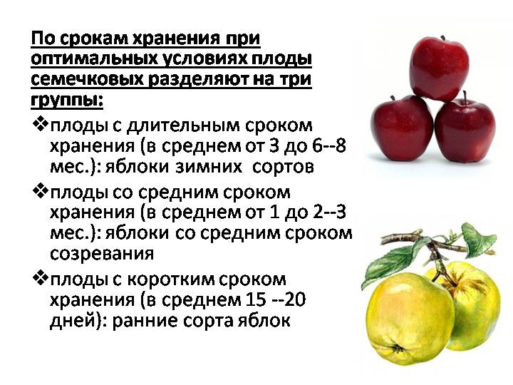 Как помочь фруктам дозреть в домашних условиях | super.ua