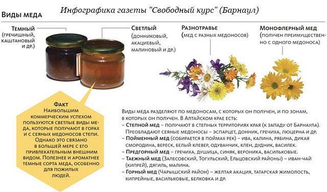 Акациевый мёд: полезные свойства и противопоказания – рецепты с фото