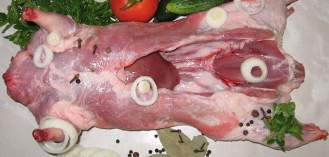 Мясо нутрии: польза и вред для человека