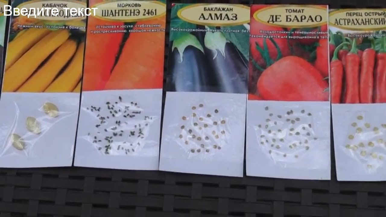 Какие семена томатов выбрать? характеристики сортов томата. фото — ботаничка.ru