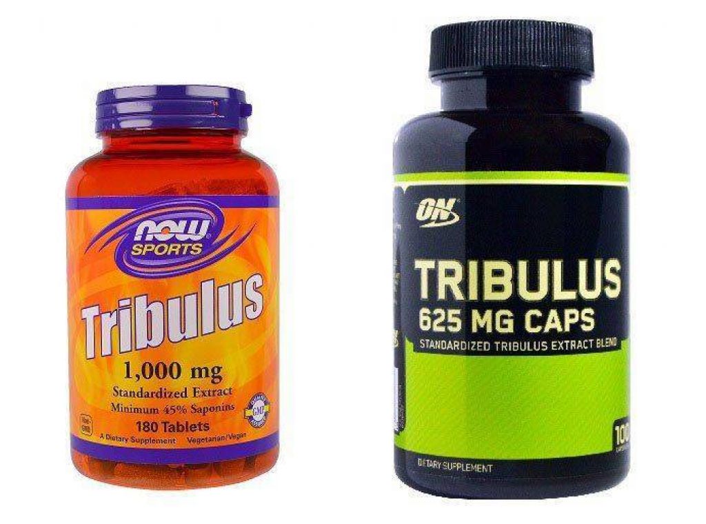 Трибулус террестрис (tribulus terrestris) - отзывы, побочные эффекты, свойства