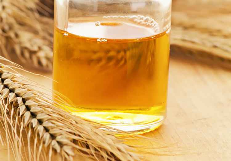 Лучшее масло зародышей пшеницы в капсулах и его полезные свойства, прием