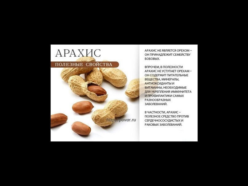 Калорийность арахиса на 100 грамм, вред и польза – всё об орехах