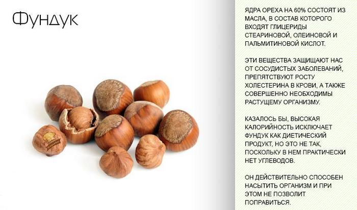 Буковый орех (чинарик) - описание, полезные и вредные свойства, состав, калорийность, применение, фото