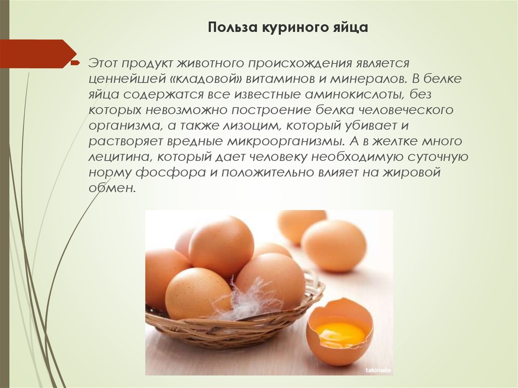 Меланж яичный - состав, польза и вред