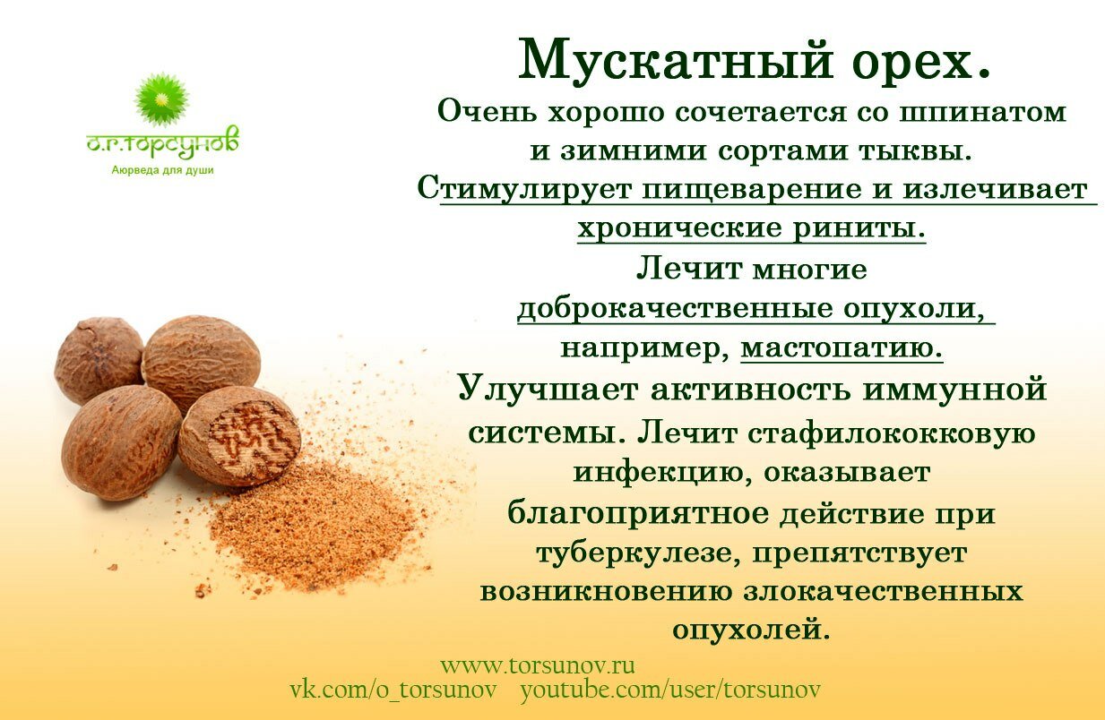 Мускатный орех - полезные свойства, применение в кулинарии, рецепты