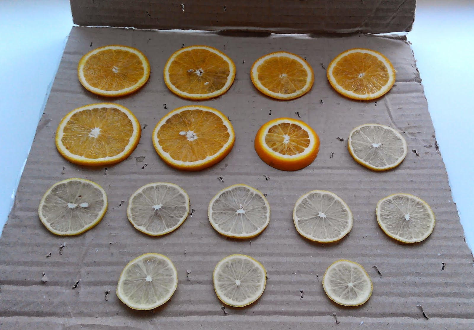 Храним апельсины. как в домашних условиях сохранить плоды до полугода. правила хранения апельсинов: место, температура и влажность