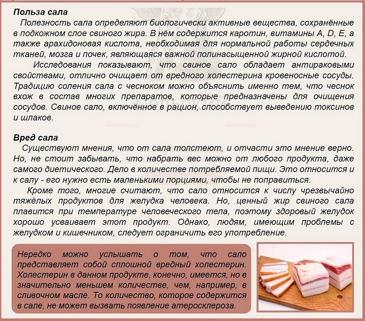 ᐉ постная свинина: витамины, полезные свойства - zooon.ru