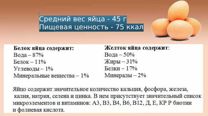 ᐉ страусиное яйцо: польза, вред, правила выбора - zooon.ru