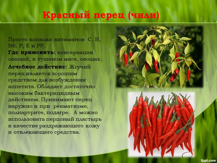 Калорийность болгарского перца: свежего, маринованного, сушеного, блюд - похудейкина