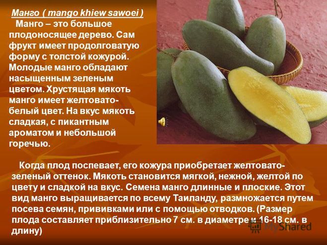 Польза и вред фрукта манго для мужчин, женщин, беременных, похудения – портал "стань лучше"