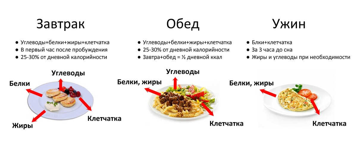 Суточная норма белков, жиров и углеводов | официальный сайт – “славянская клиника похудения и правильного питания”