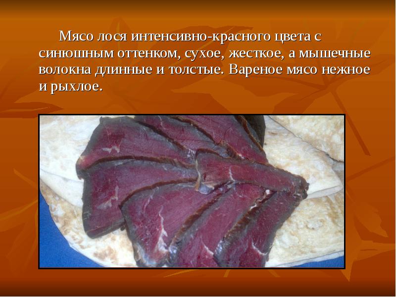 Мясо лося: полезные свойства и вред | польза и вред