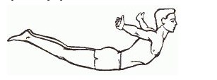 Конспект занятия по гимнастике на тему "знакомство с равновесием «ласточка». | план-конспект урока по физкультуре (младшая группа):