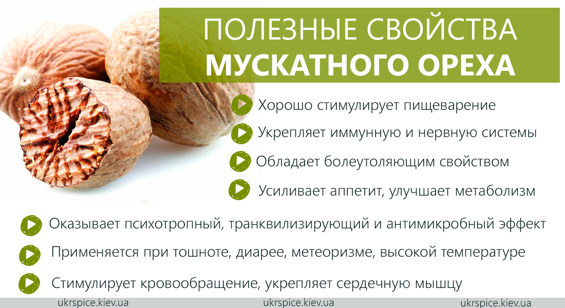 Мускатный орех: польза и вред для здоровья, печенье от hildegard