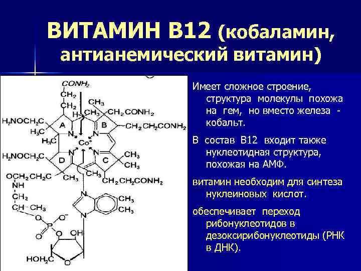 Витамин b12 — где содержится, как принимать