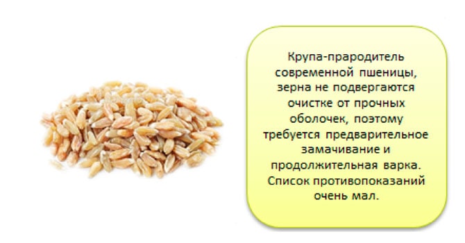 Кукурузные хлопья: состав, калорийность, польза и вред