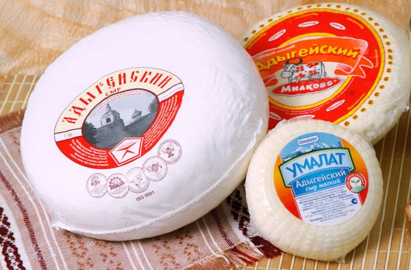 Сыр из овечьего молока: виды сыра, как можно сделать дома