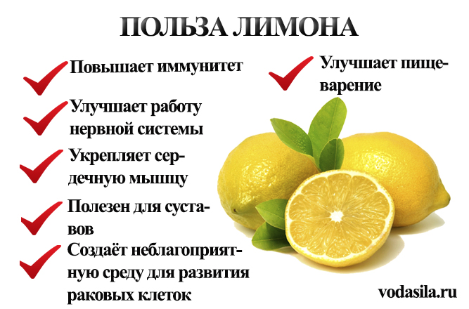 Лимон: чем отличается от лайма, ph лимона, польза и вред, калорийность, где и как растет фрукт, состав