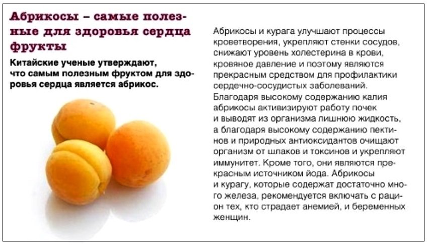 Абрикос - калорийность, полезные свойства, польза и вред, описание - www.calorizator.ru