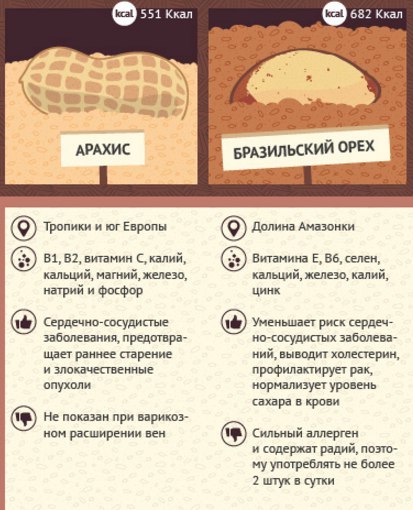 Хранение орехов разных видов: сроки и условия