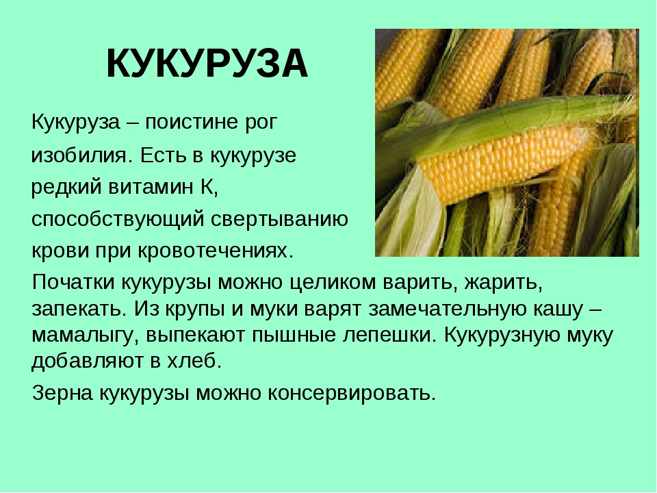 Масло кукурузное - калорийность, полезные свойства, польза и вред, описание