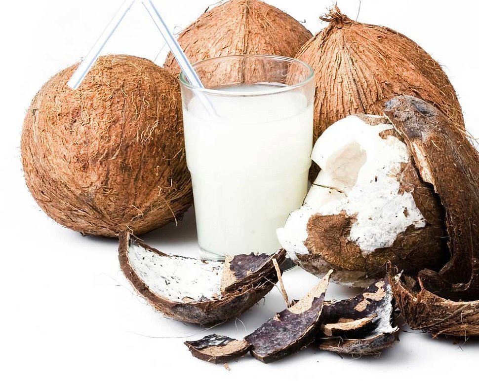 Как хранить кокос в свежем виде, срок годности стружки и молока, правила хранения кокосового масла
