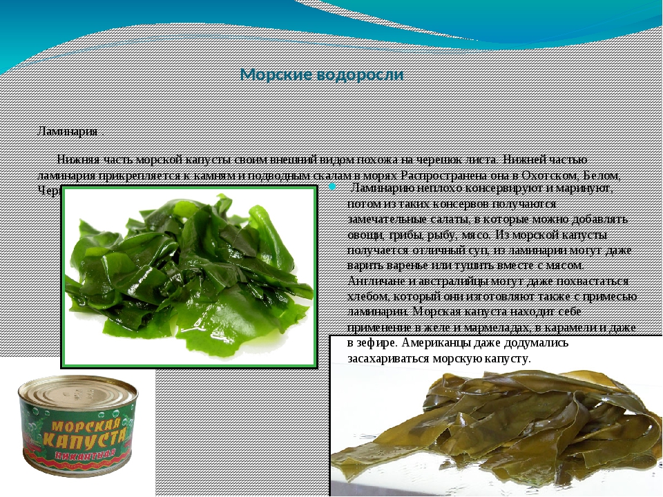 Как приготовить морскую капусту по простым и понятным рецептам?