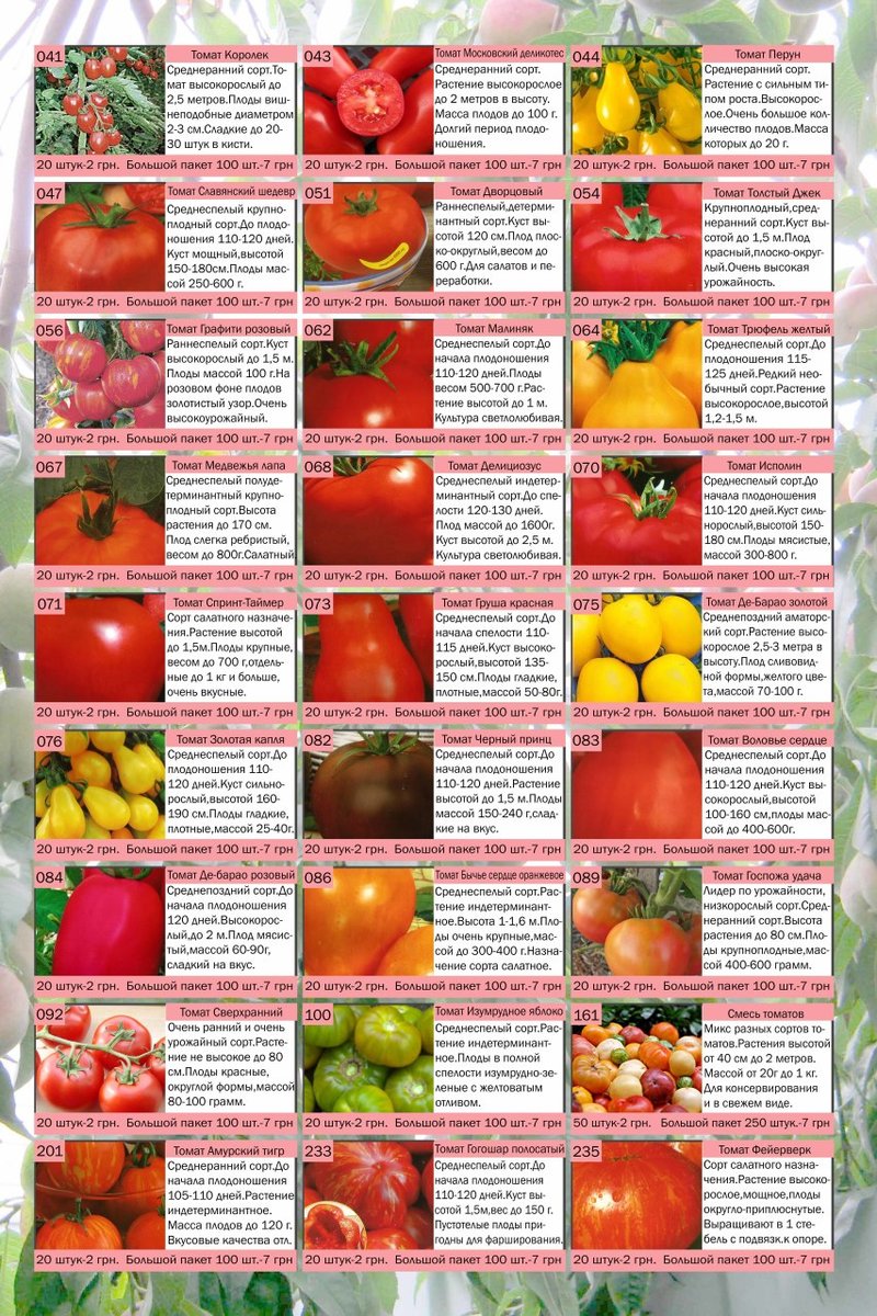 Сорта черных томатов: описание, фото, характеристика