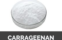 Польза и вред каррагинана е407, как пищевой добавки