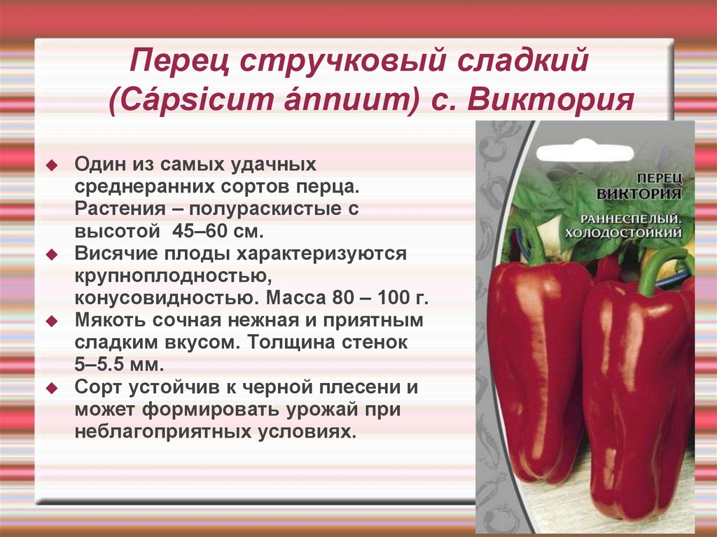 Перец болгарский (сладкий) — описание, польза и вред, состав, калорийность