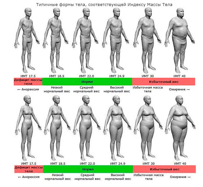 10 методов как определить процент жира в организме у мужчин и женщин