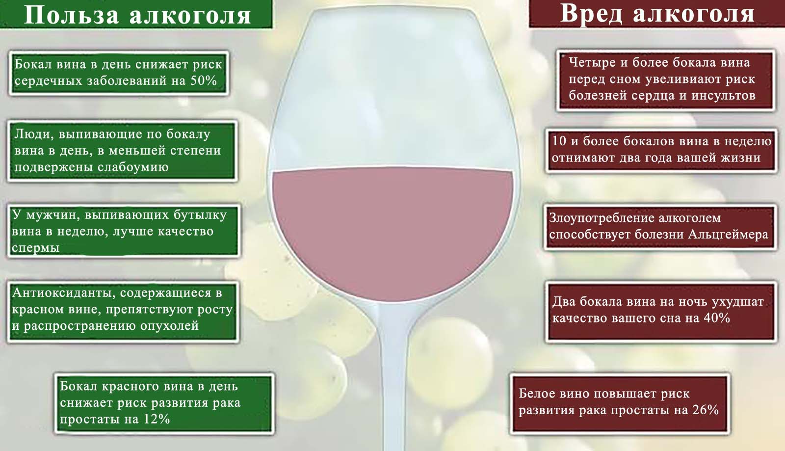 Красное сухое вино: польза и вред, влияние на организм человека