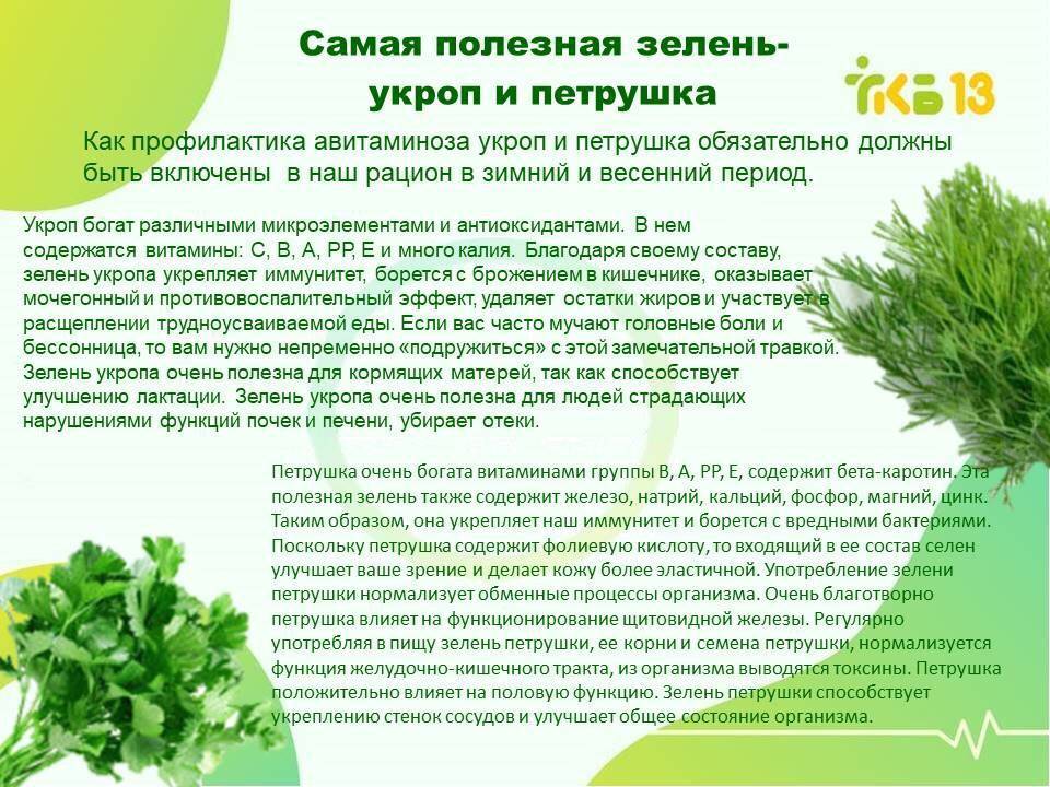 Салат латук: польза, вред и калорийность, особенности выращивания