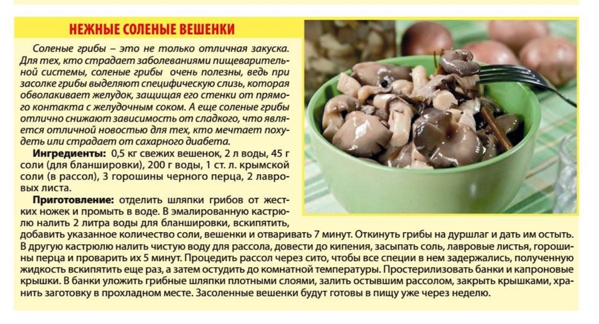 Жареные грибы польза и вред - bookcooks.ru