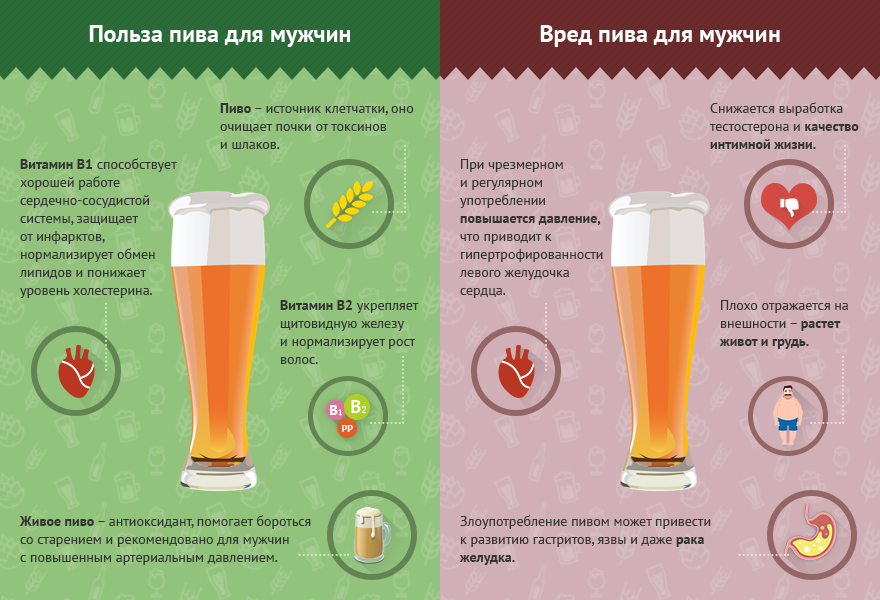 Вред и польза пива, калорийность, состав бжу, витаминов и минералов