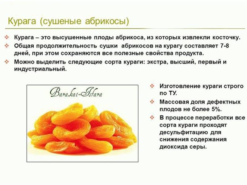 Сыр российский: калорийность, состав, как сделать, рецепты, польза и вред