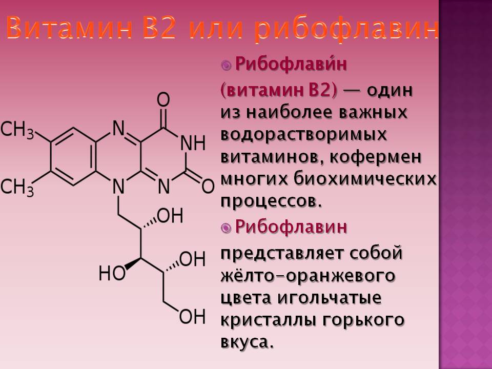 Cтатьи - витамины - витамин b2 - электронная медицина - витаминные и минеральные премиксы, микроцид и феникс от производителя