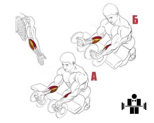 Полезная и безопасная физкультура для суставов: практические советы - нолтрекс.