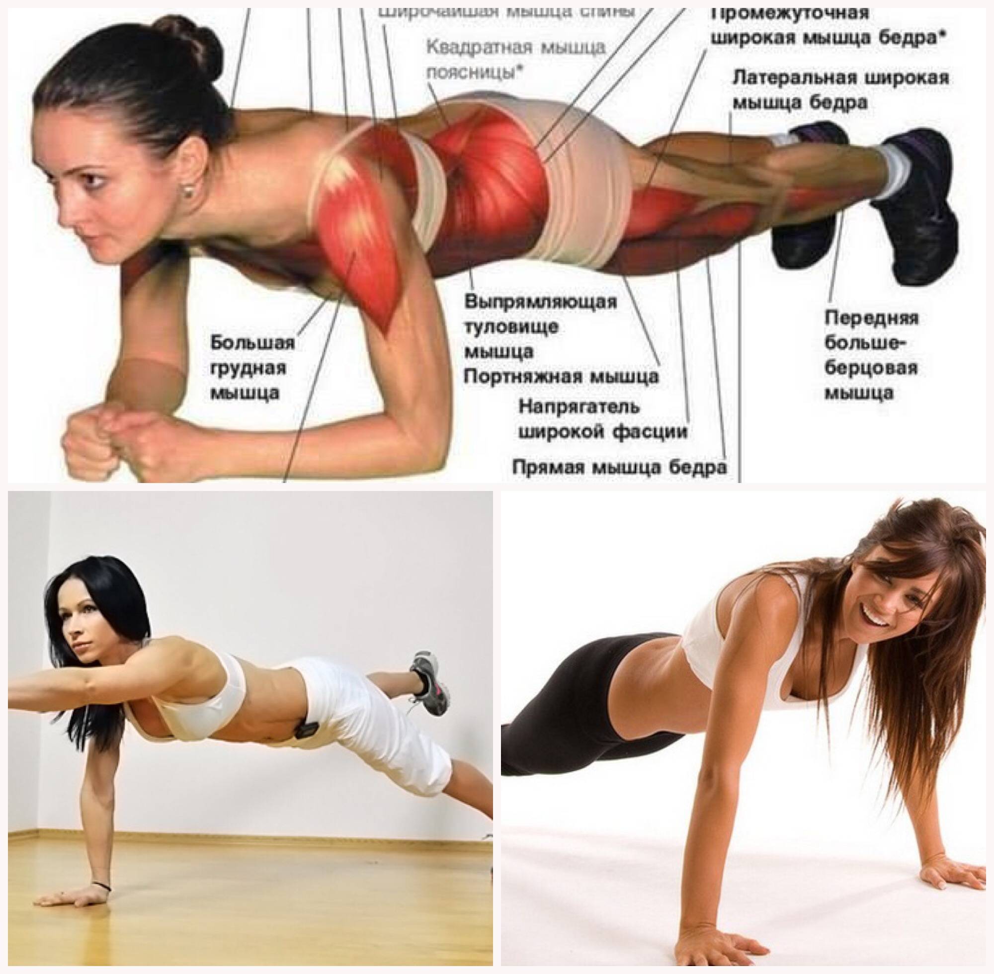 Планка на прямых руках: как делать упражнение для красивого тела и подтянутых мышц