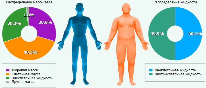 Обзор умных весов xiaomi mi body scale. сколько в тебе жира?