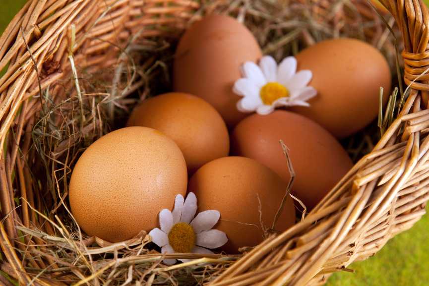 Как пользоваться яичным порошком в выпечке и для омлета